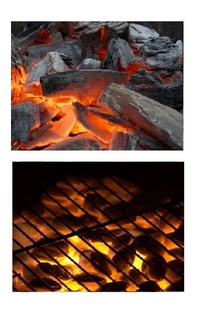Tip on how to start a BBQ fire at ECR Beach House